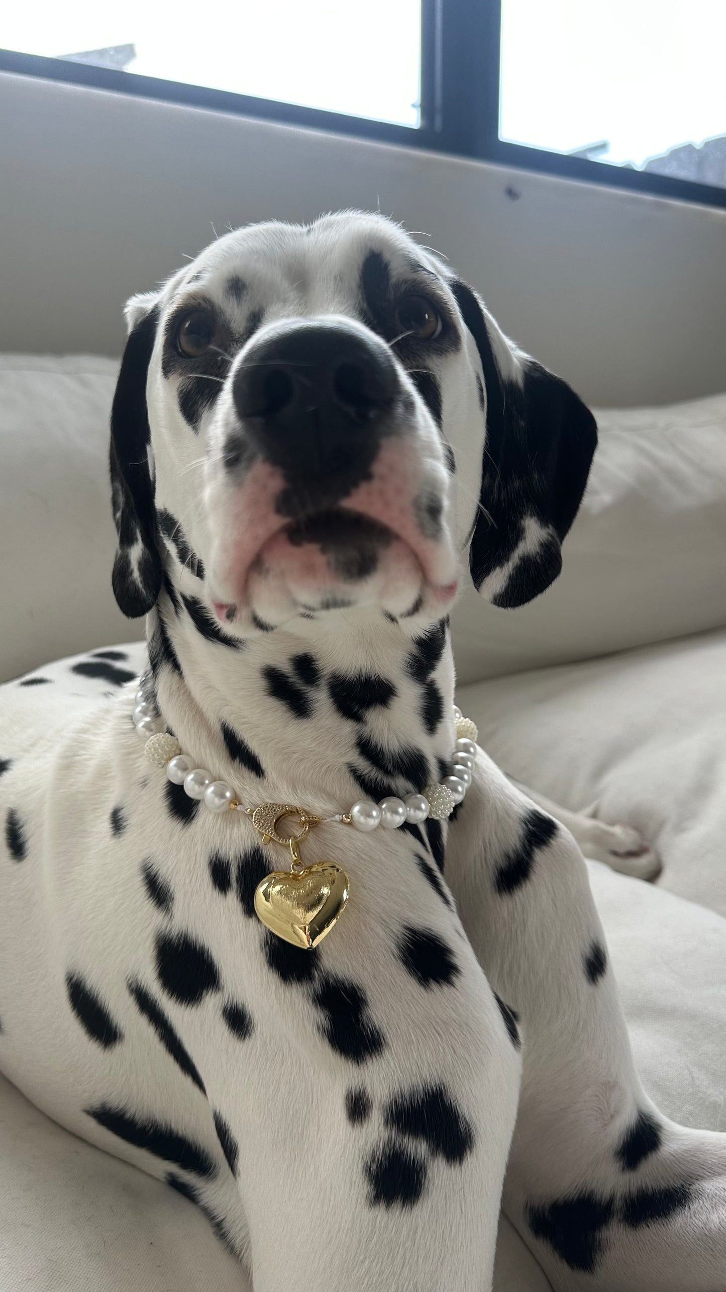 Pearl Collar with Goldfield Heart
