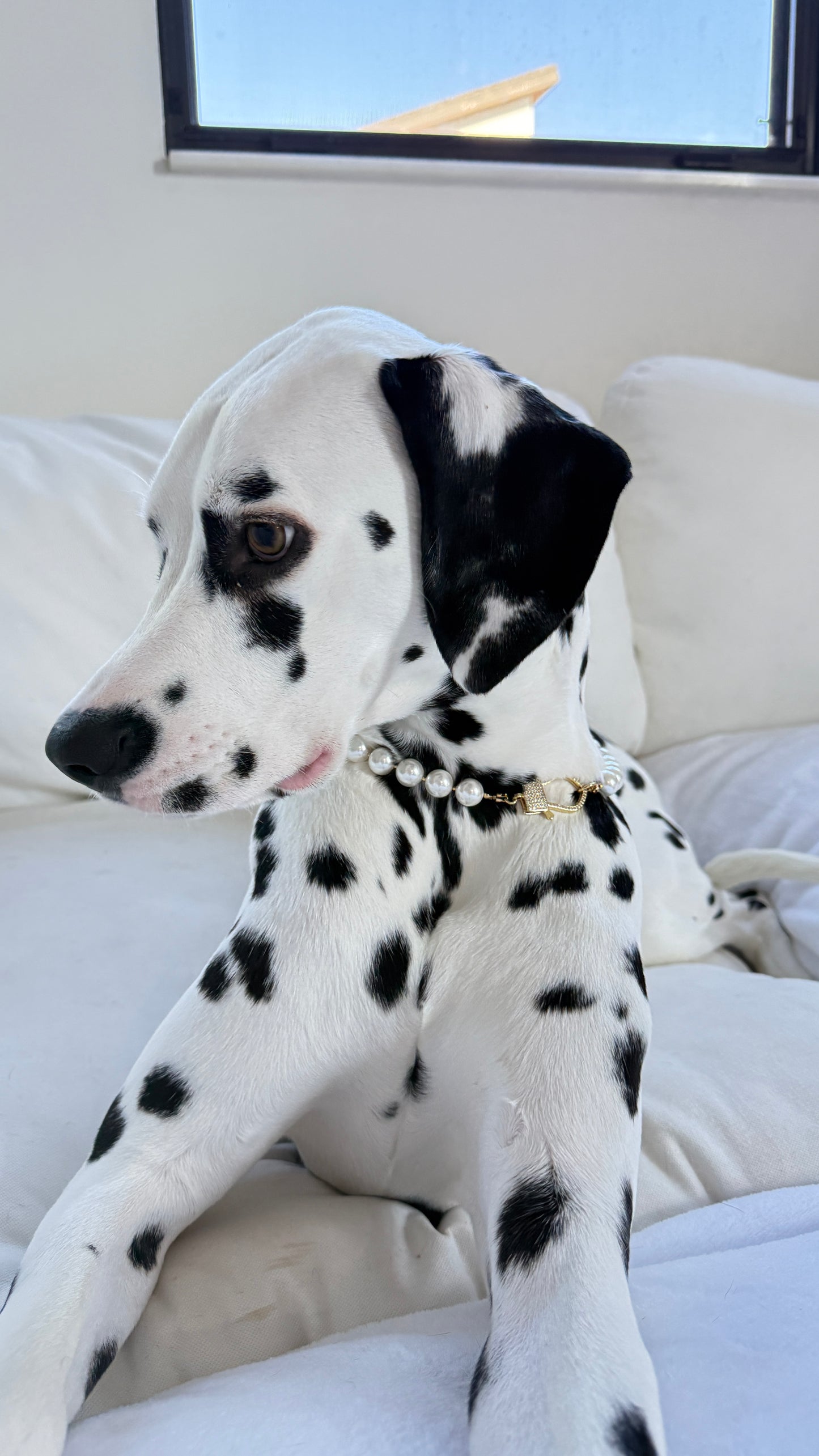 Clementina Pearl Collar