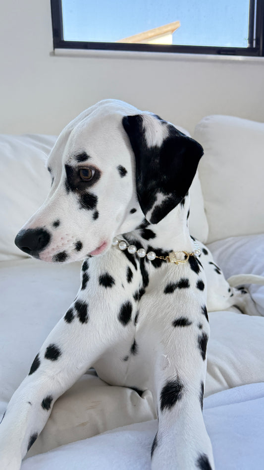 Clementina Pearl Collar