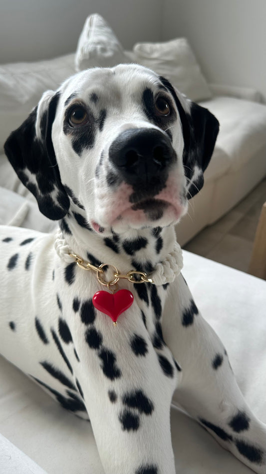 Crochet Dog Collar with Heart
