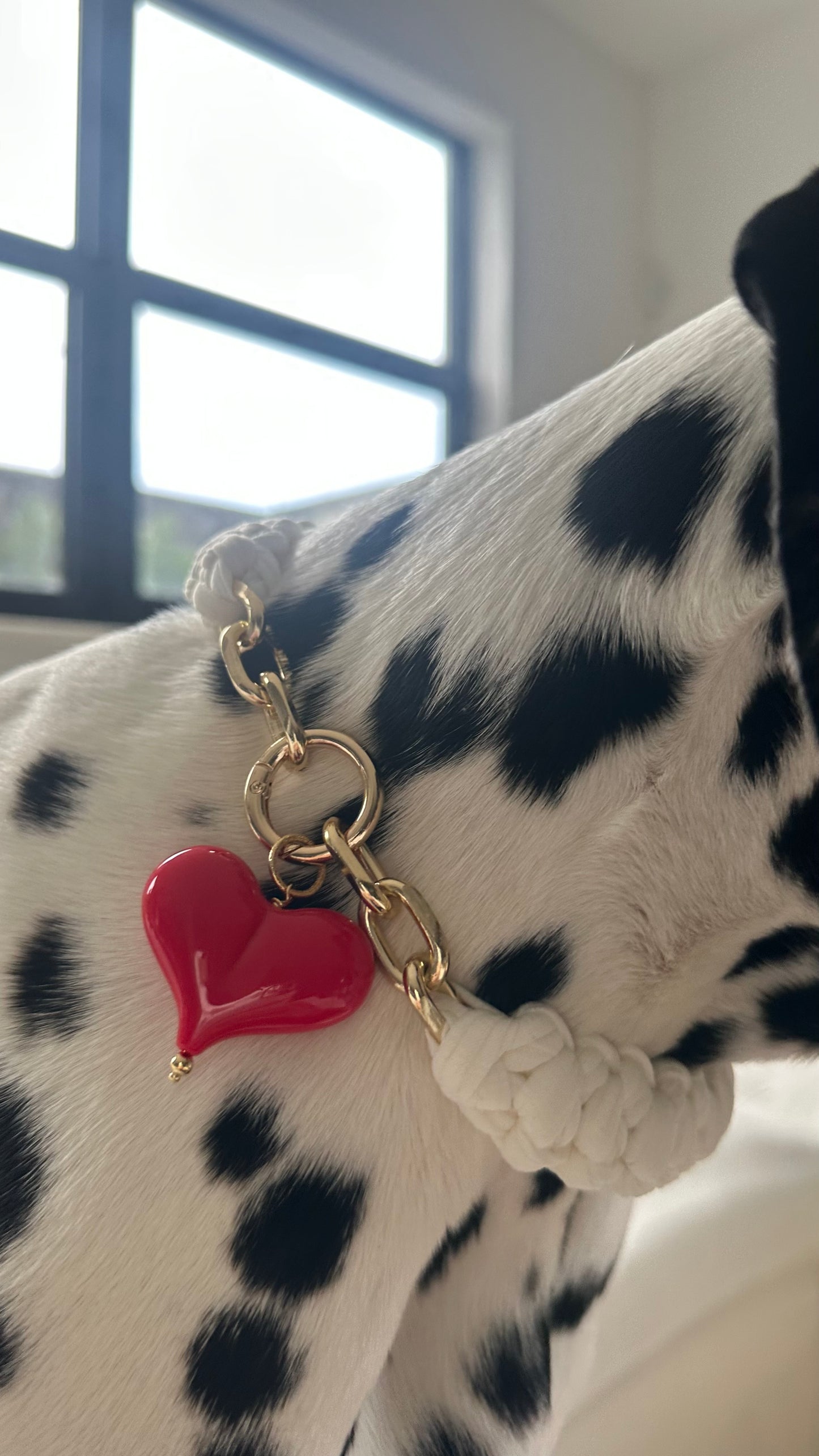Crochet Dog Collar with Heart